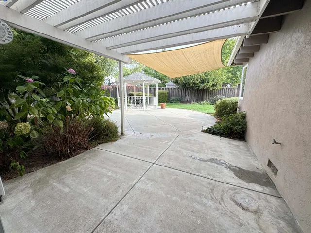 a view of backyard with plants and garden