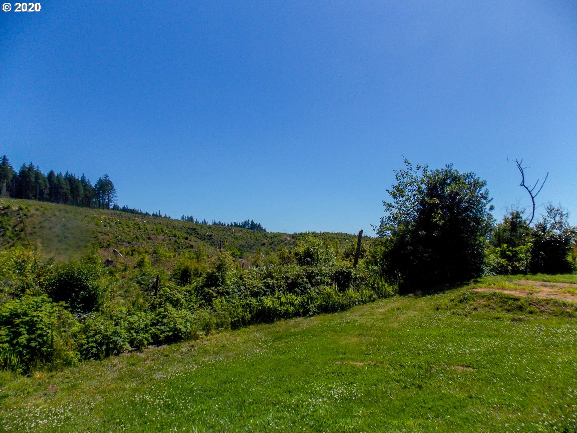 68315 Arawana Road North Bend, OR 97459 - Photo 5 of 24 Gallery Image 5