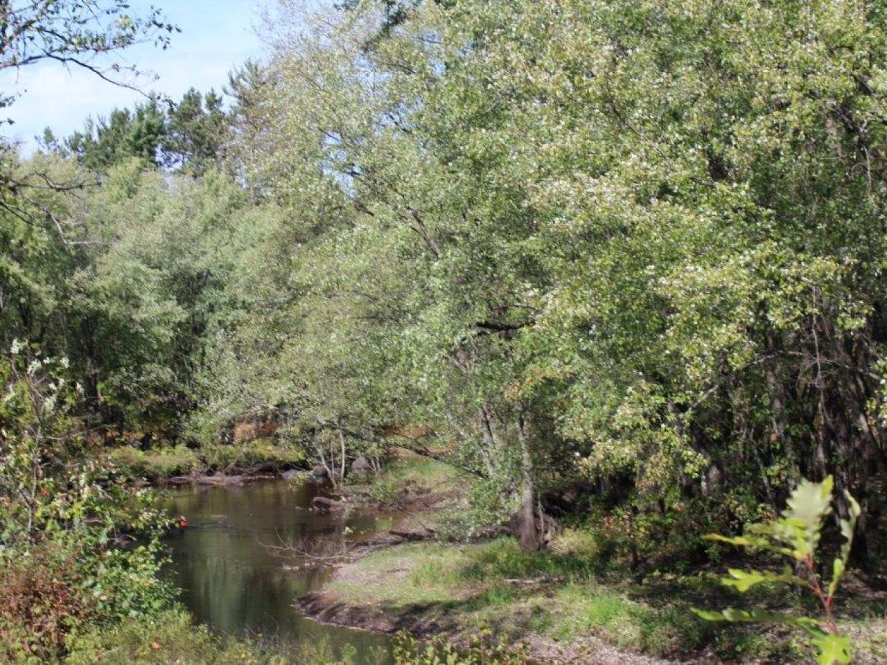 3589 Hay Meadow Road Rhinelander, WI 54501 - Photo 24 of 38 Gallery Image 24
