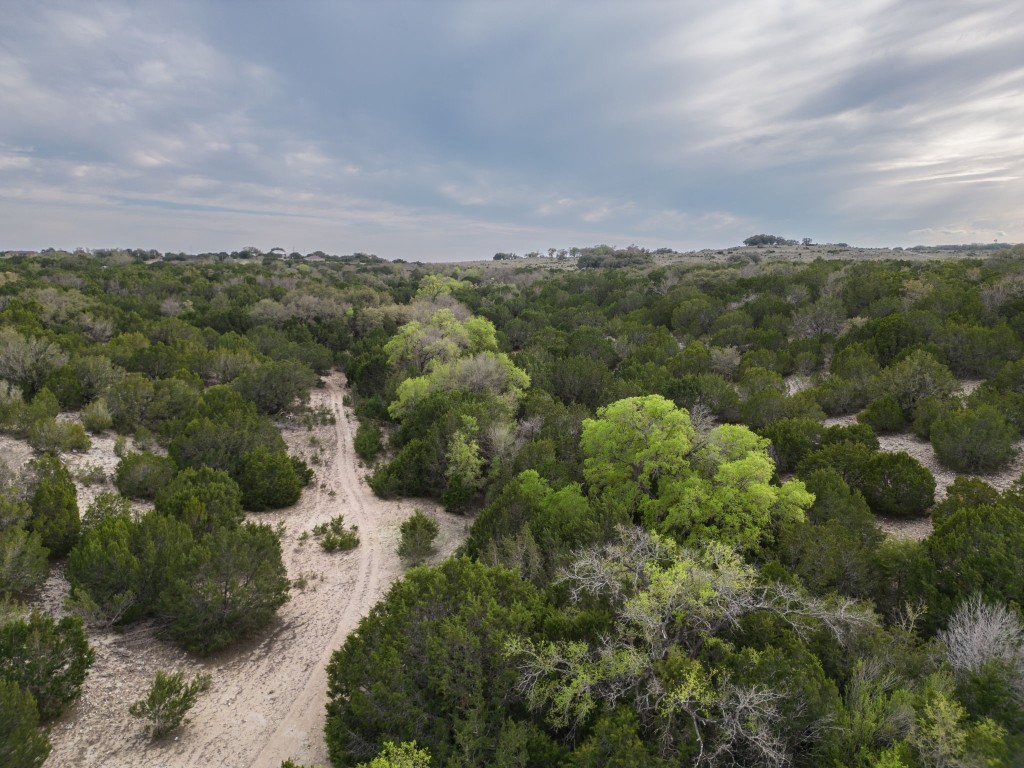 3100 County Road 3100 Kempner, TX 76539 - Photo 11 of 23