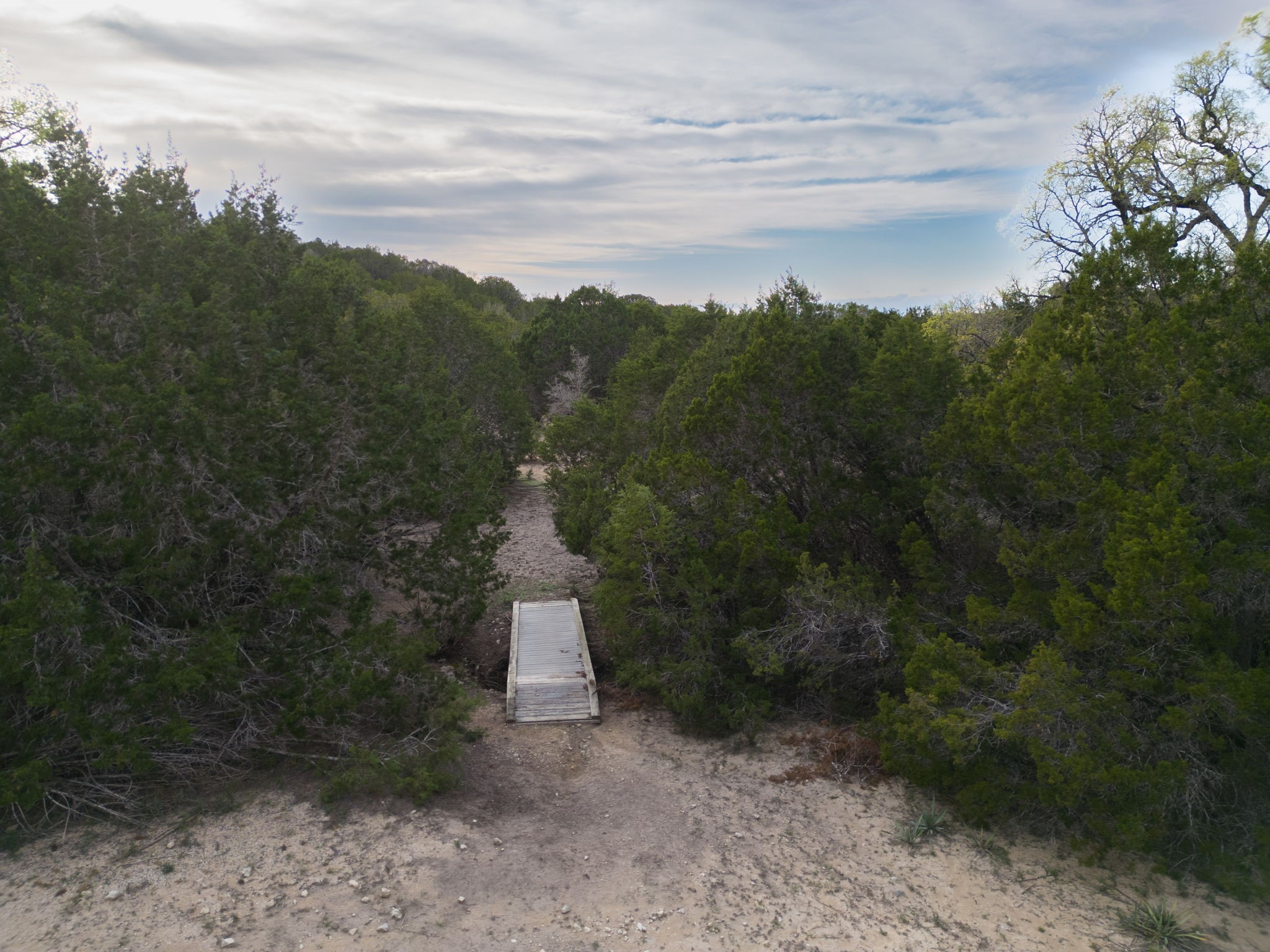 3100 County Road 3100 Kempner, TX 76539 - Photo 4 of 23