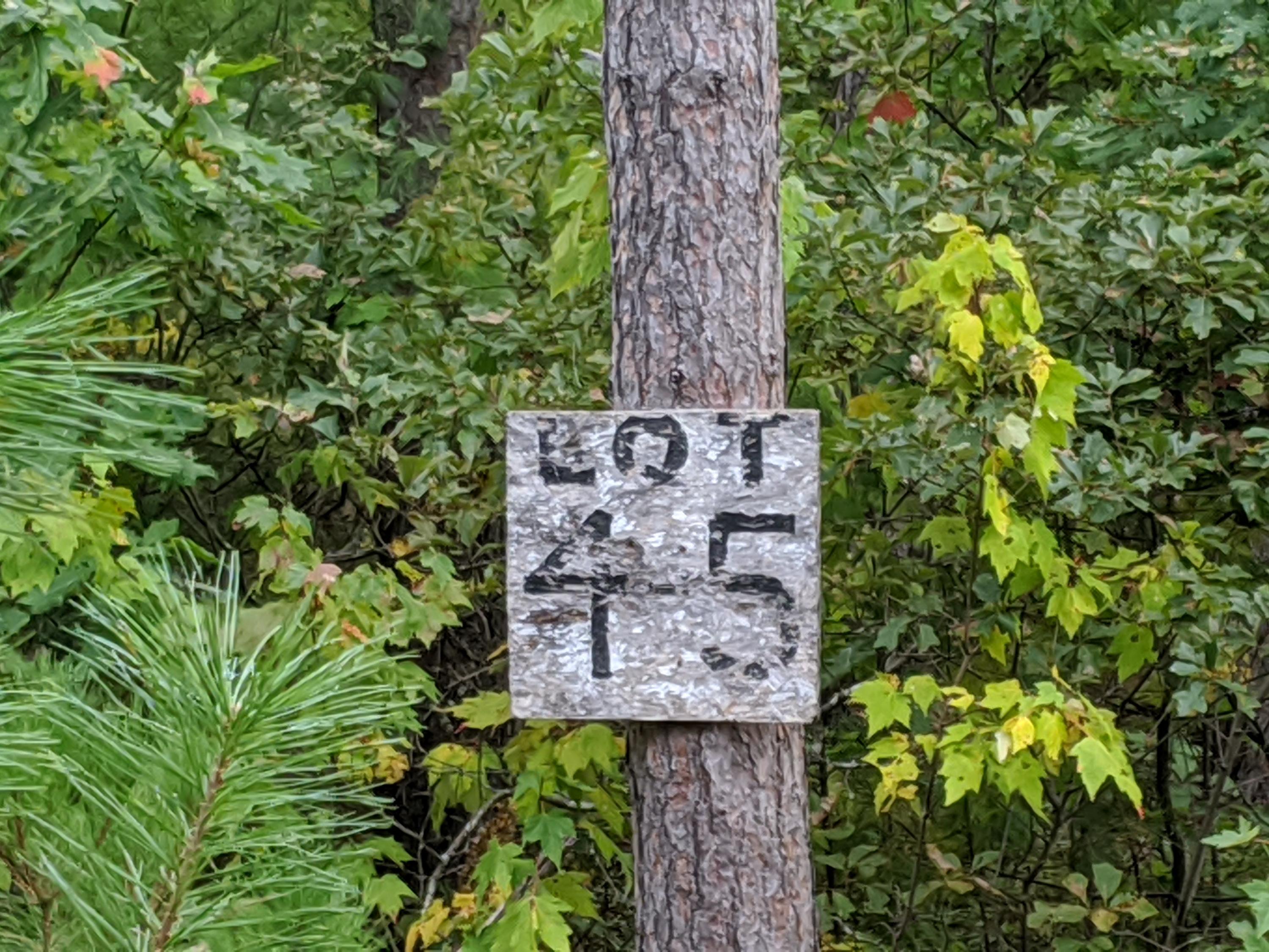 Lot 5 Lake Ridge Road West Newfield, ME 04095 - Photo 4 of 10 IMG_20200922_155959