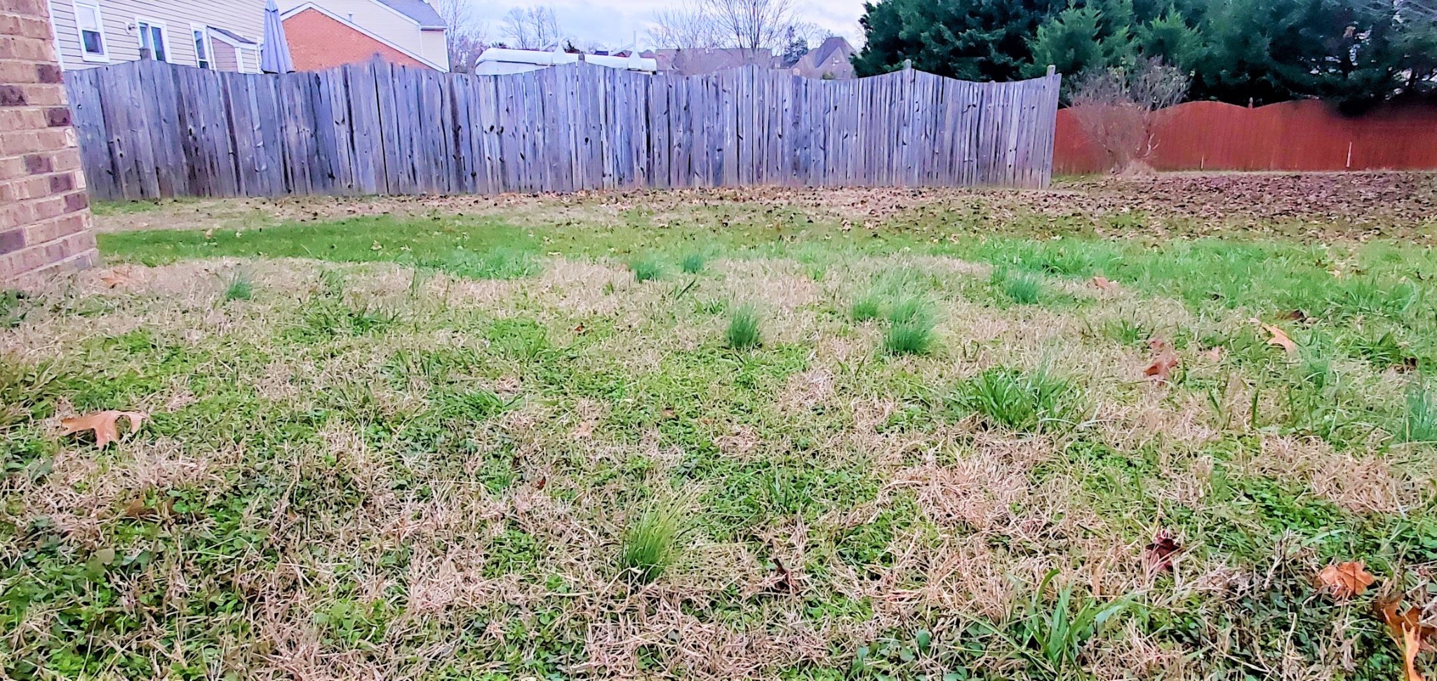 8008 Streamside Drive Mount Juliet, TN 37122 - Photo 19 of 35 a view of backyard with wooden fence