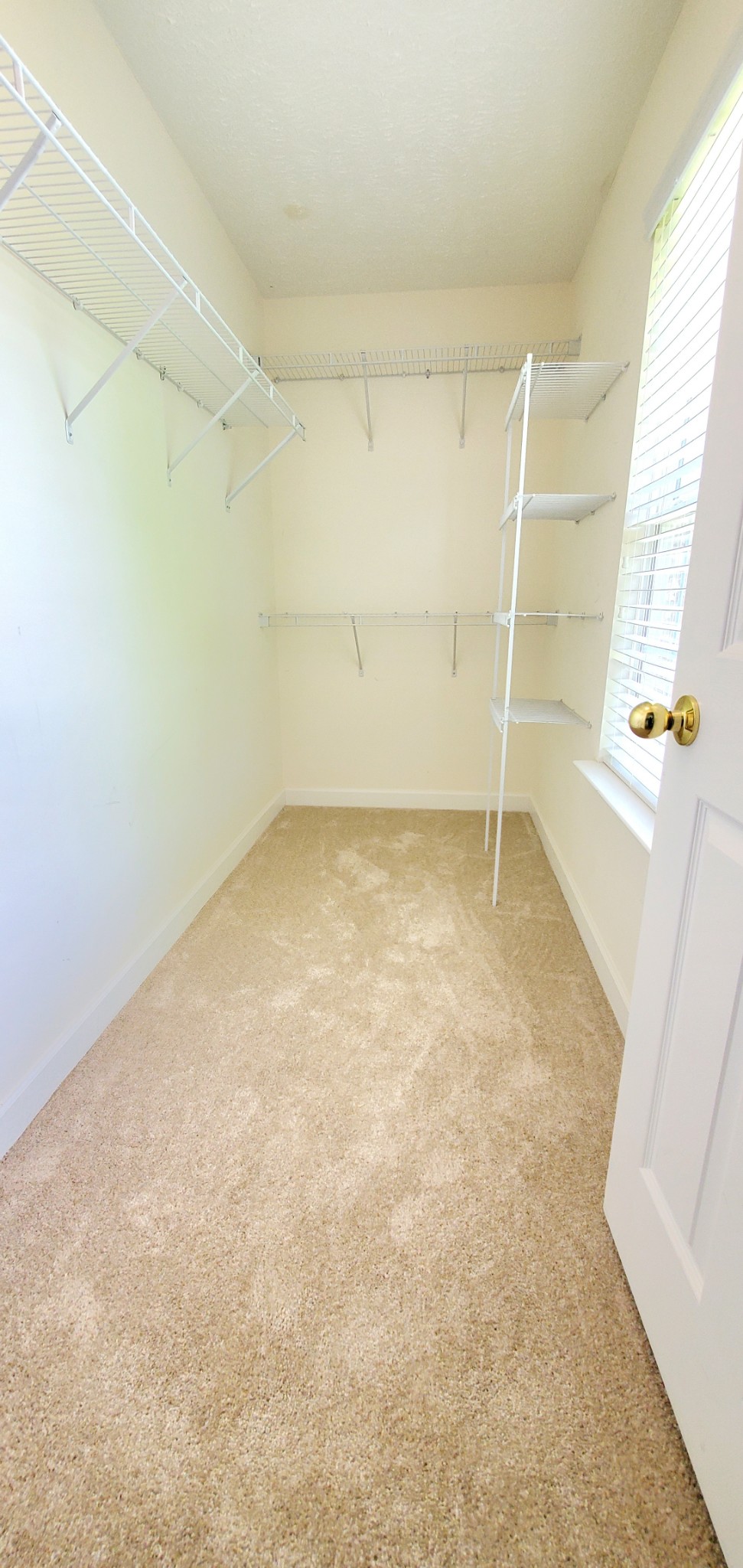 8008 Streamside Drive Mount Juliet, TN 37122 - Photo 29 of 35 an empty room with a windows