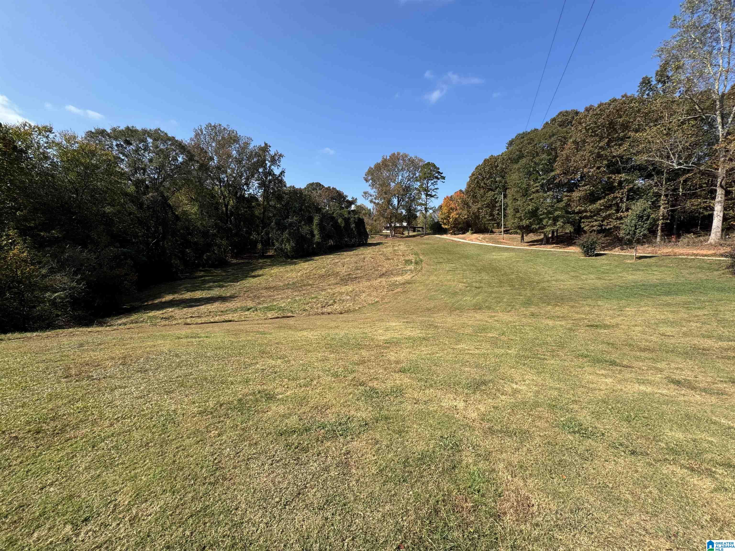 286 Mt Moriah School Road Delta, AL 36258 - Photo 33 of 34