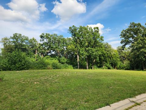 a view of a grassy field with trees in the background