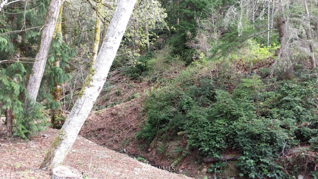 -xxxx Northeast Capstan Rock Road Tahuya, WA 98588 - Photo 11 of 17 Gallery Image 11