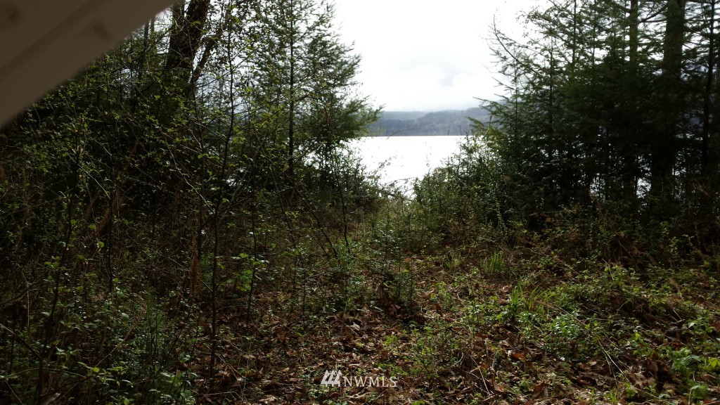 -xxxx Northeast Capstan Rock Road Tahuya, WA 98588 - Photo 13 of 17 Gallery Image 13