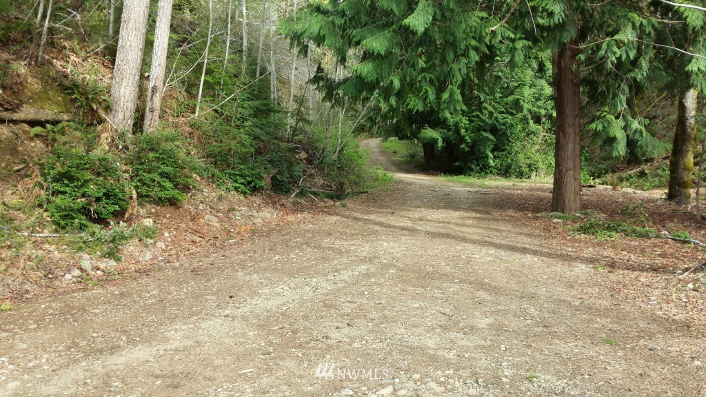 -xxxx Northeast Capstan Rock Road Tahuya, WA 98588 - Photo 9 of 17 Gallery Image 9