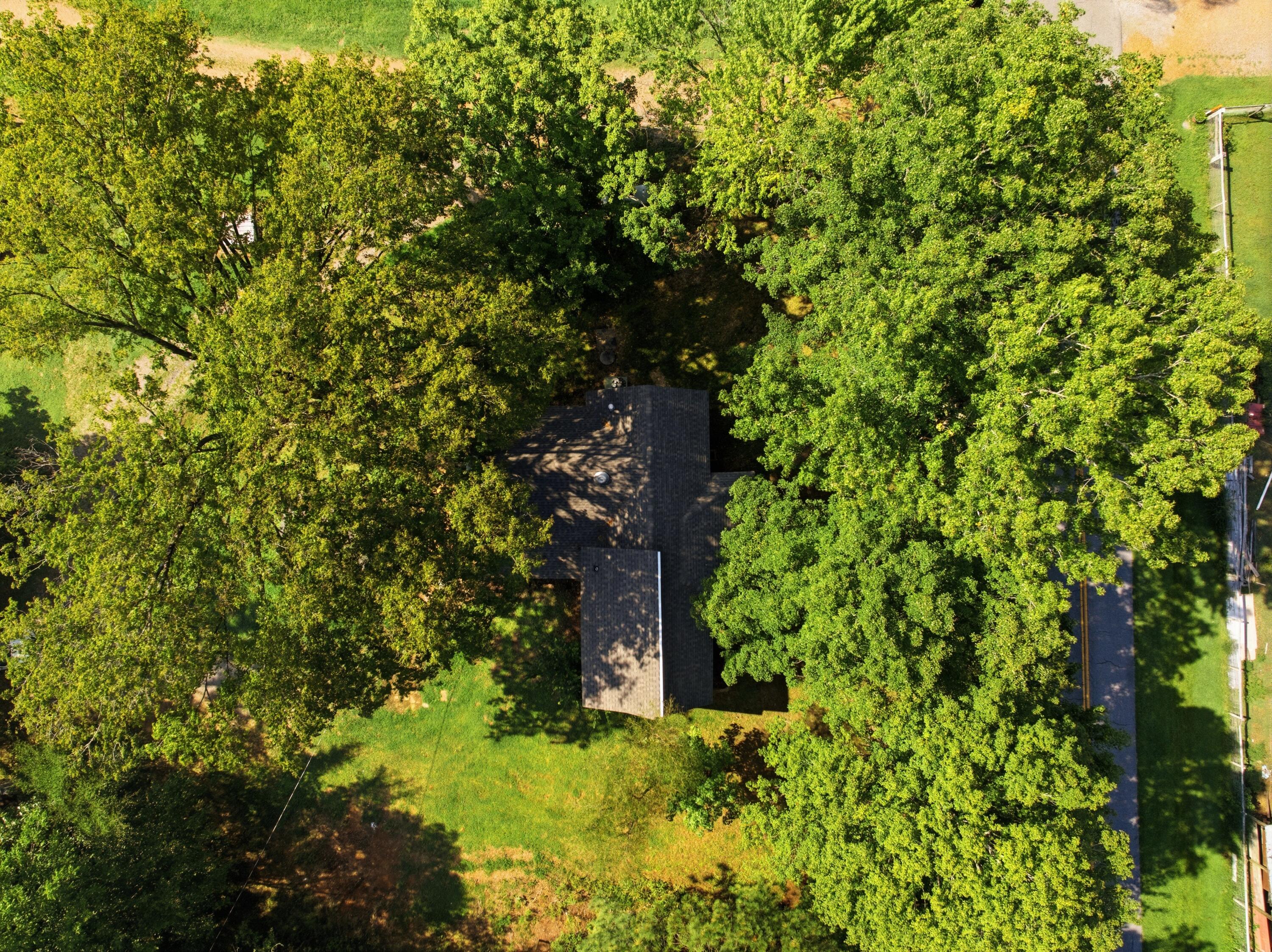 1980 Downing Road Kirksey, KY 42054 - Photo 34 of 41 DJI_20260827060003_0675_D