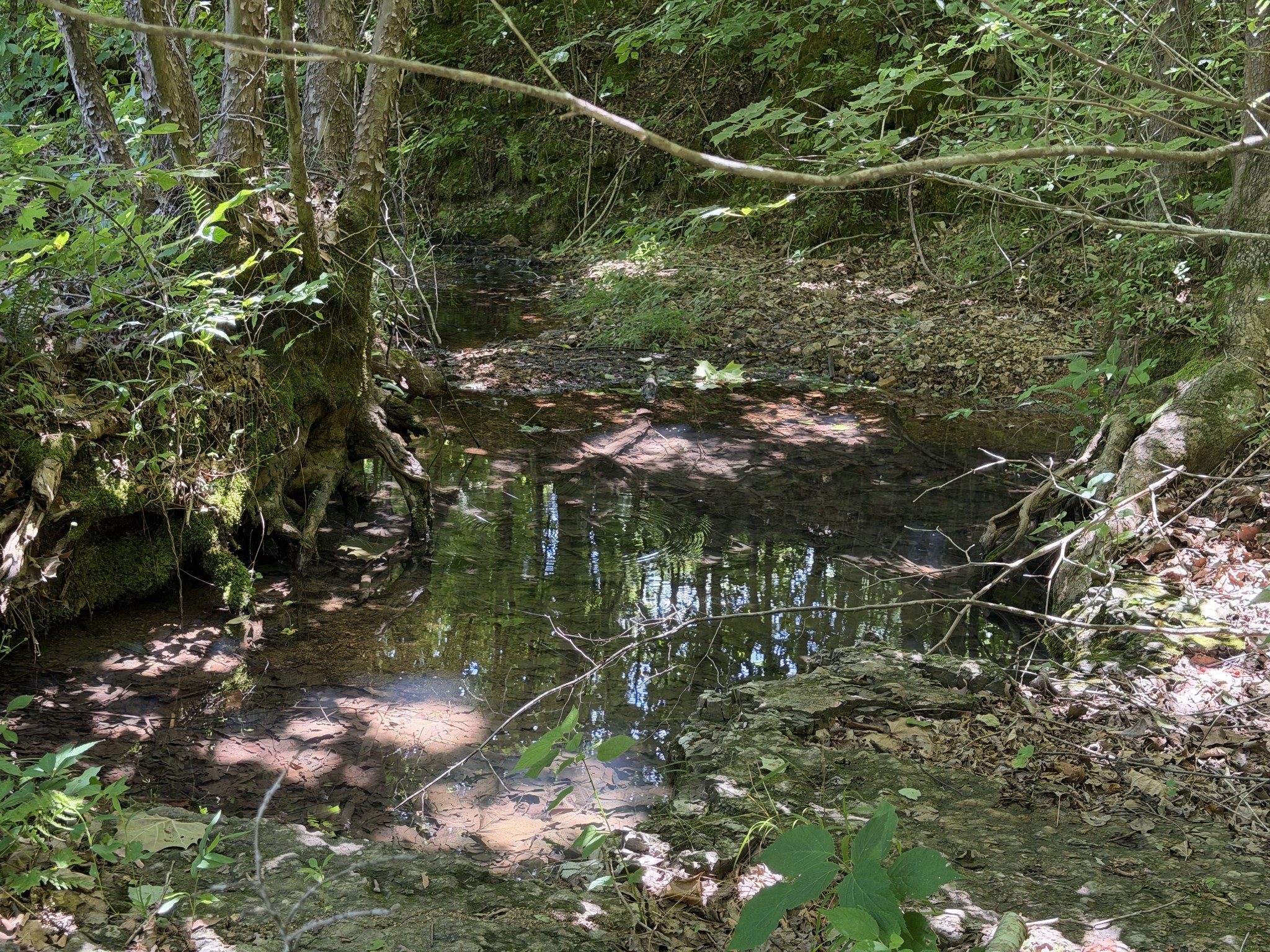 215 Bar Bee Road Hohenwald, TN 38462 - Photo 17 of 51