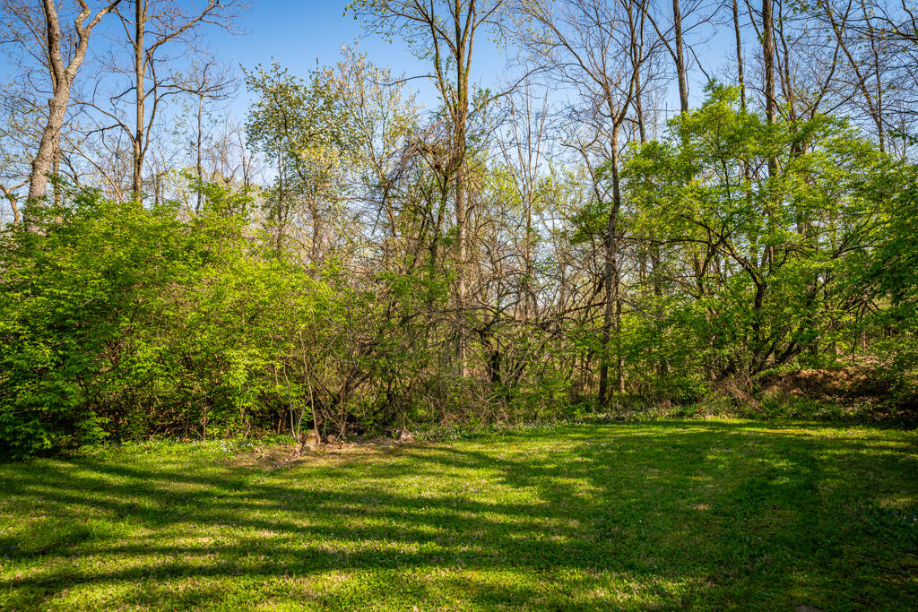 1176 East Lower Springboro Road Waynesville, OH 45068 - Photo 52 of 70