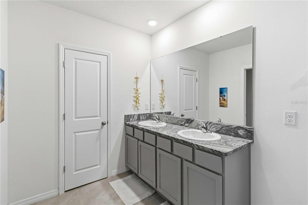 8354 Hardy Bay Loop Wesley Chapel, FL 33545 - Photo 14 of 32 a bathroom with a granite countertop sink and a mirror