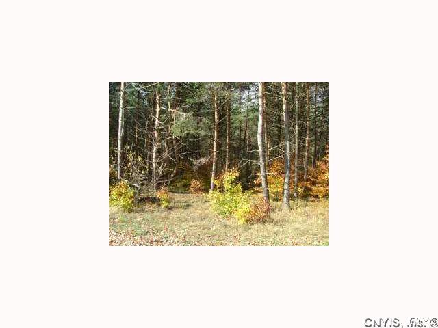 1 High Falls Road Croghan, NY 13327 - Photo 1 of 1 Land