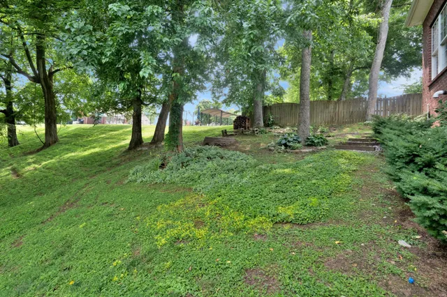 a view of outdoor space and green space