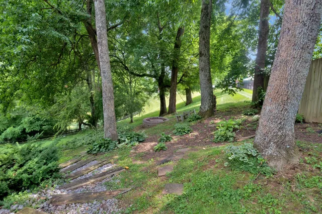 a backyard of a house with potted plants and large trees