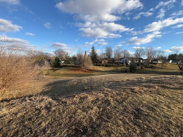 a view of a yard with yellow lighting