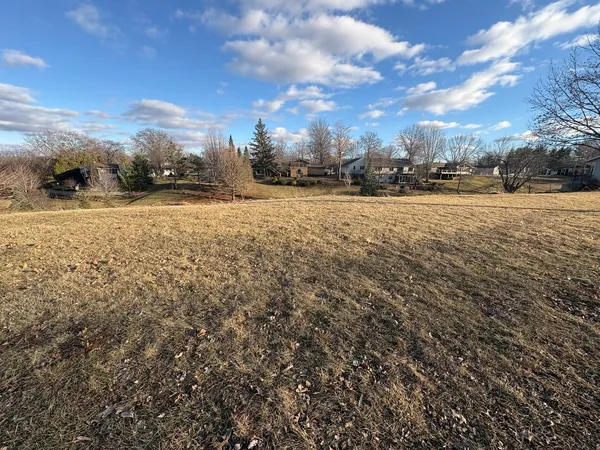 a view of large trees with sky view
