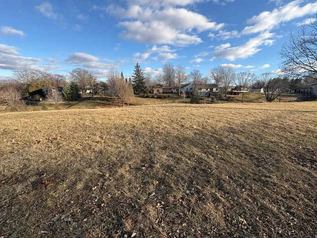 a view of large trees with sky view
