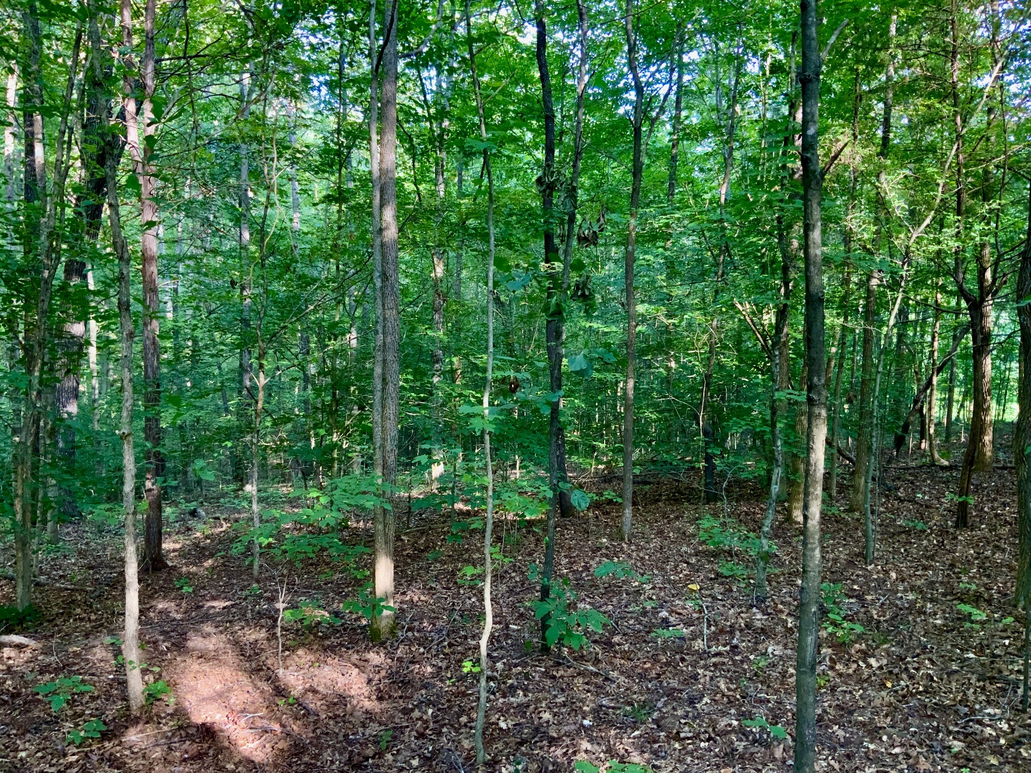 0 Pleasant Hill Road Dover, TN 37058 - Photo 1 of 19 Gallery Image 1