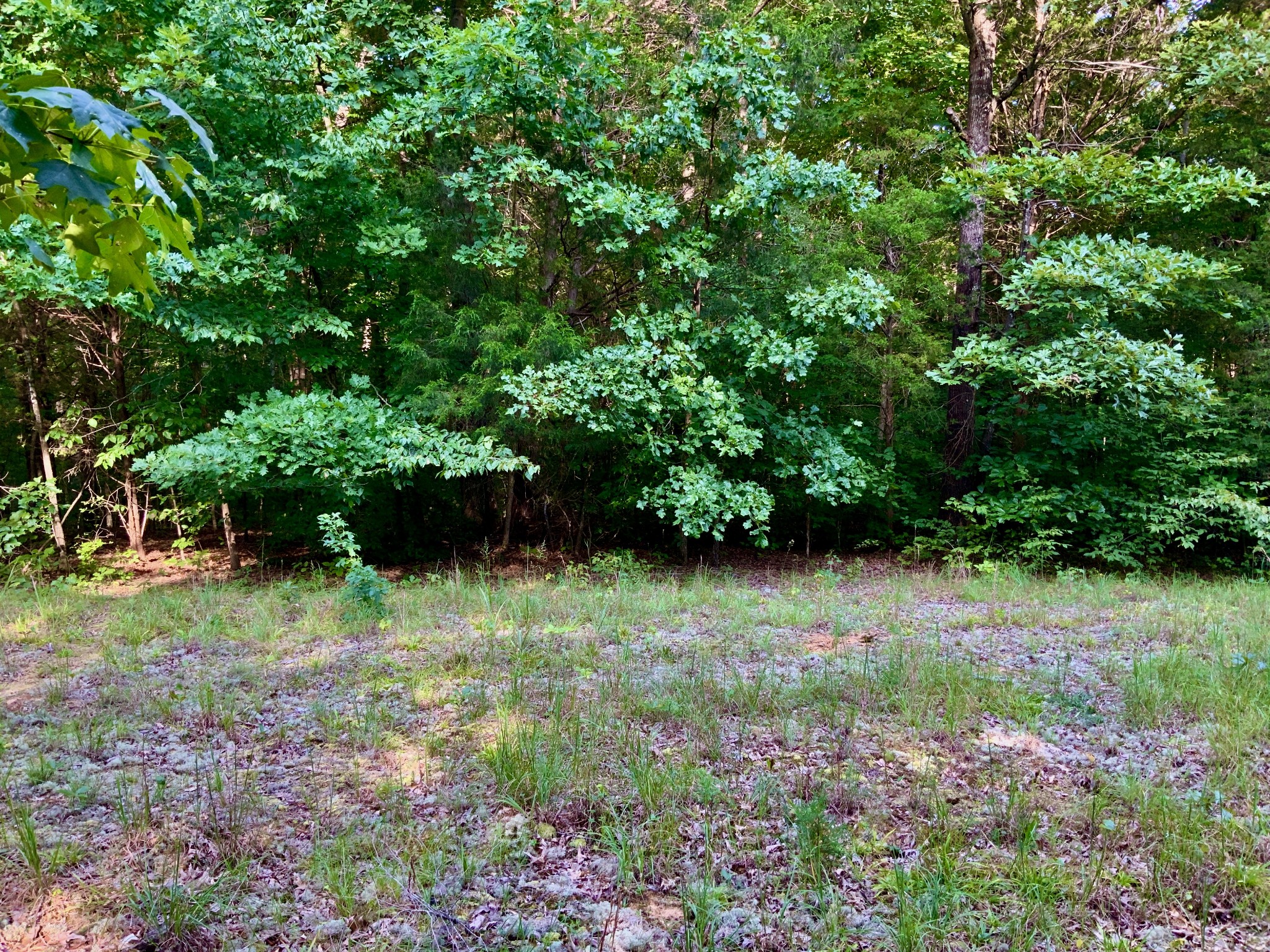 0 Pleasant Hill Road Dover, TN 37058 - Photo 11 of 19 Gallery Image 11