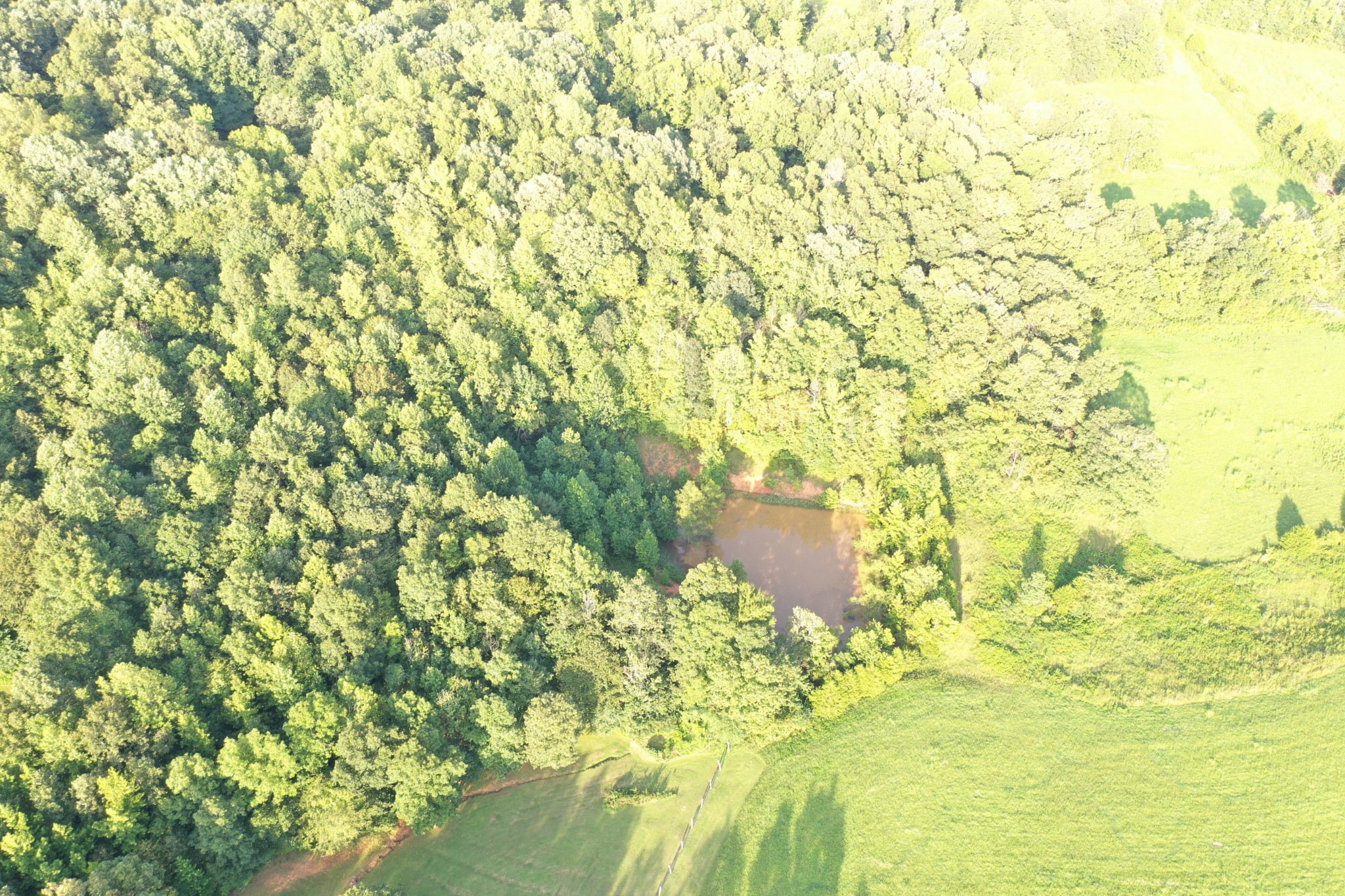 0 Pleasant Hill Road Dover, TN 37058 - Photo 13 of 19 Gallery Image 13