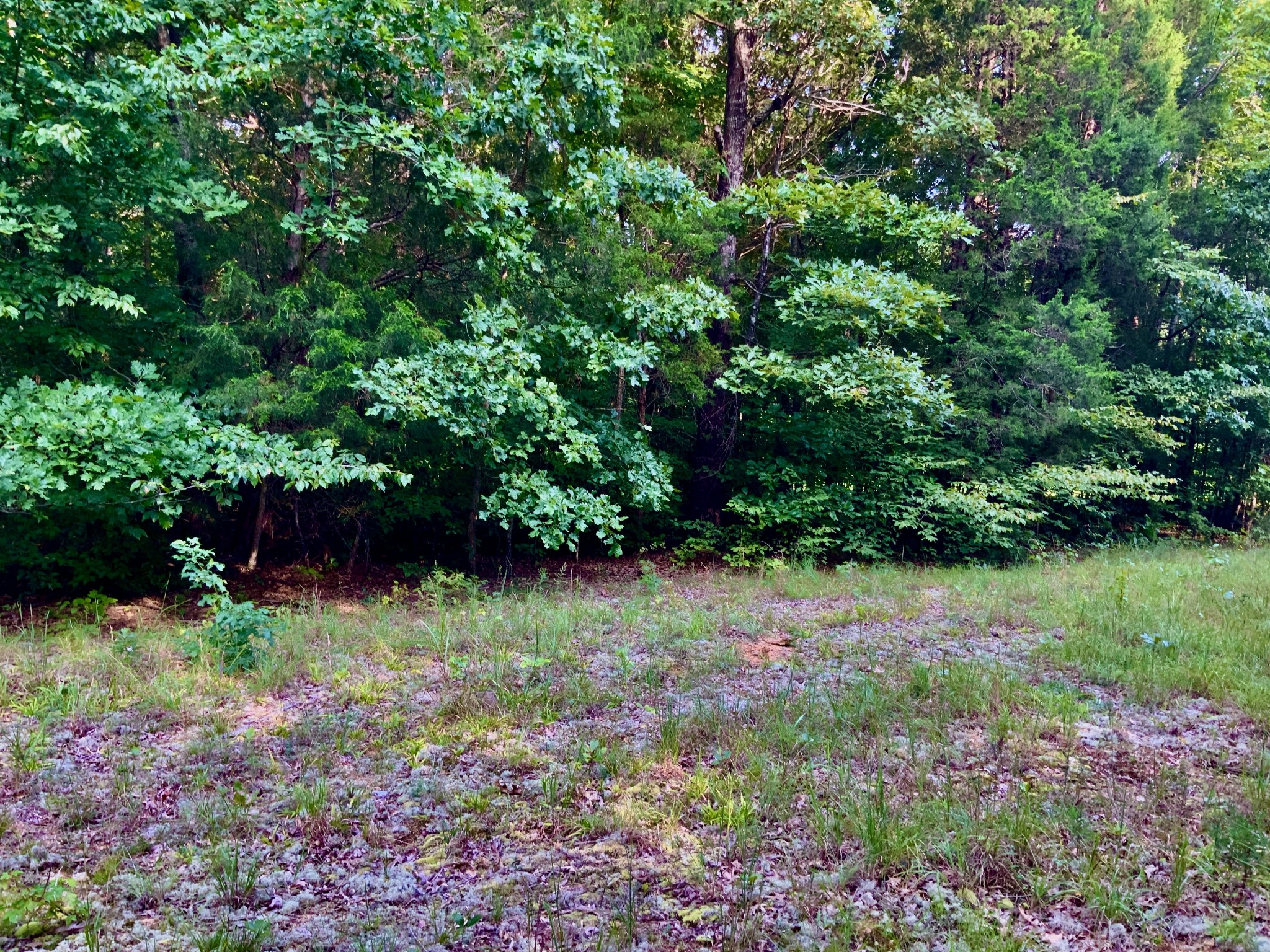 0 Pleasant Hill Road Dover, TN 37058 - Photo 6 of 19 Gallery Image 6