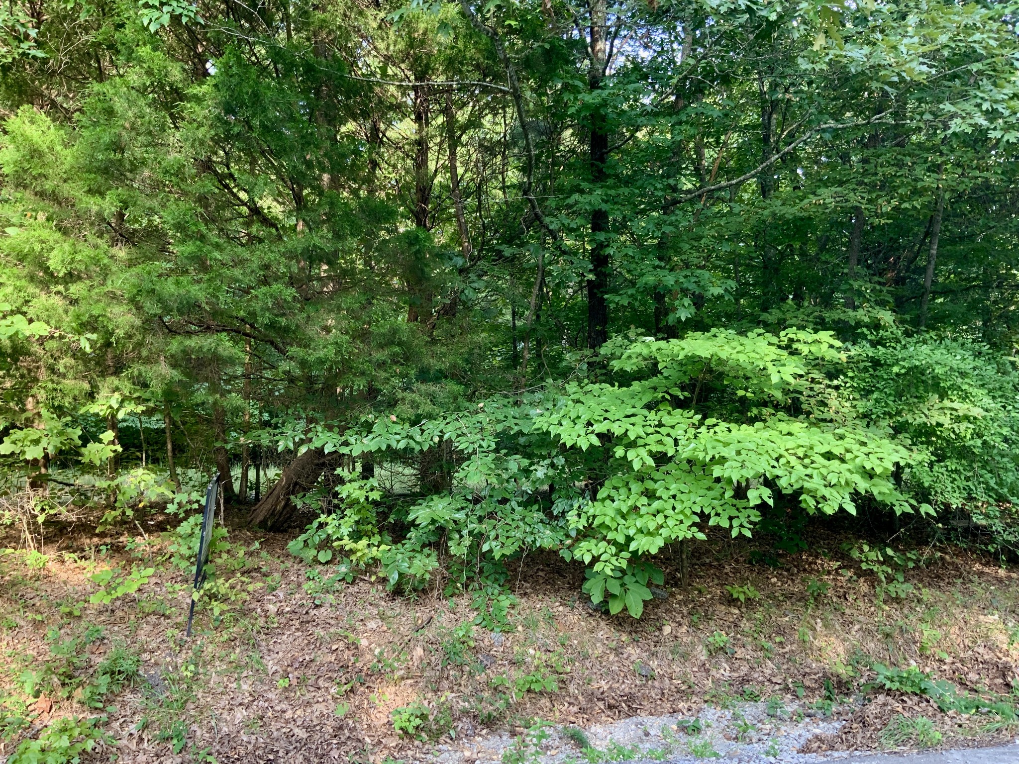 0 Pleasant Hill Road Dover, TN 37058 - Photo 9 of 19 Gallery Image 9
