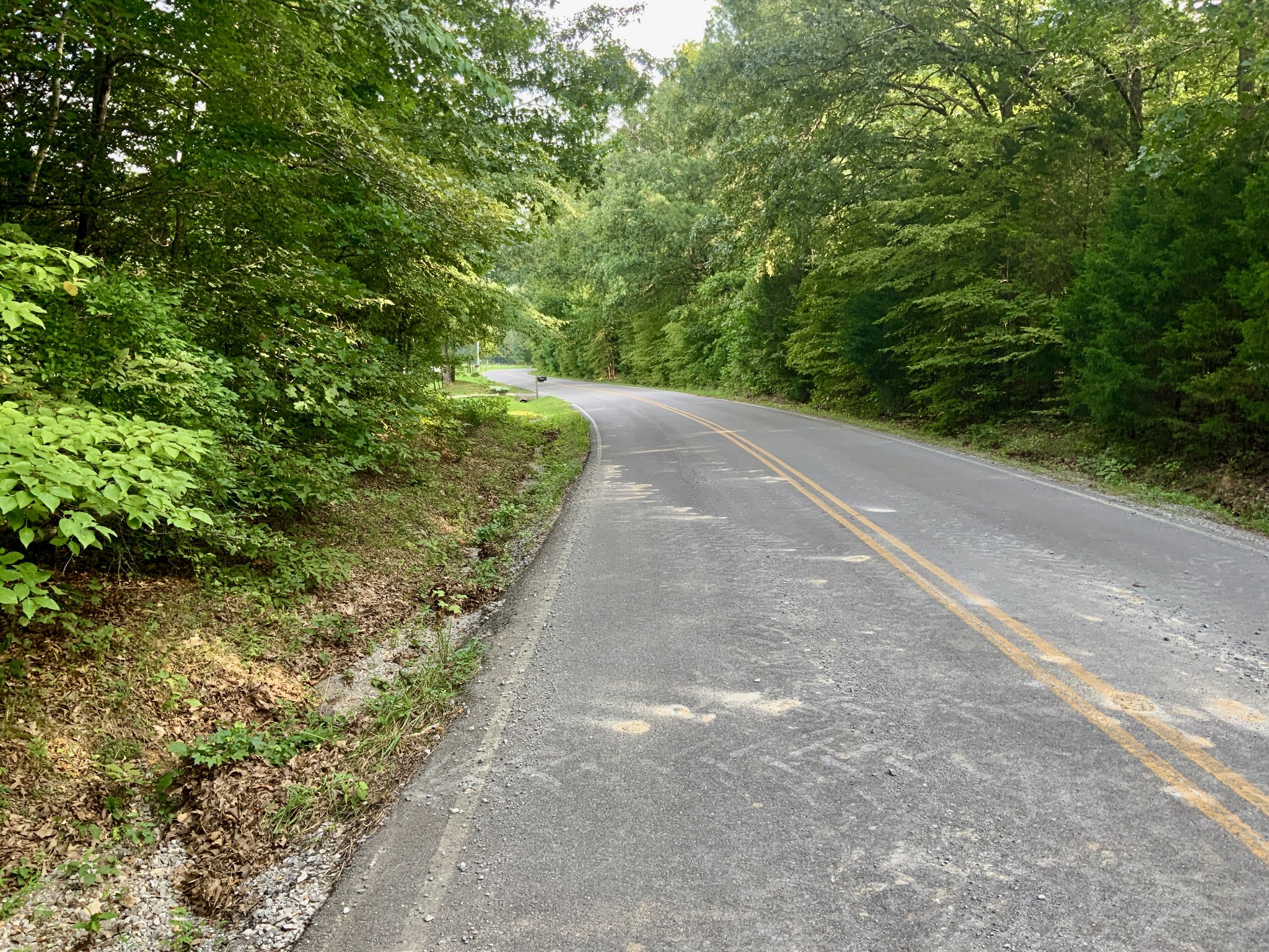 0 Pleasant Hill Road Dover, TN 37058 - Photo 10 of 19 Gallery Image 10