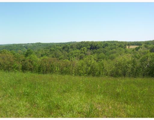 182 Clovis Ridge Road West Finley, PA 15377 - Photo 18 of 18 Land/Lot. Another view from top field.