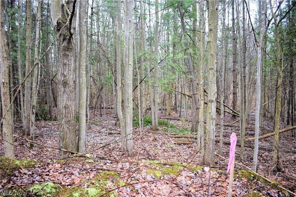 1350 County Line Road Gates Mills, OH 44040 - Photo 11 of 11