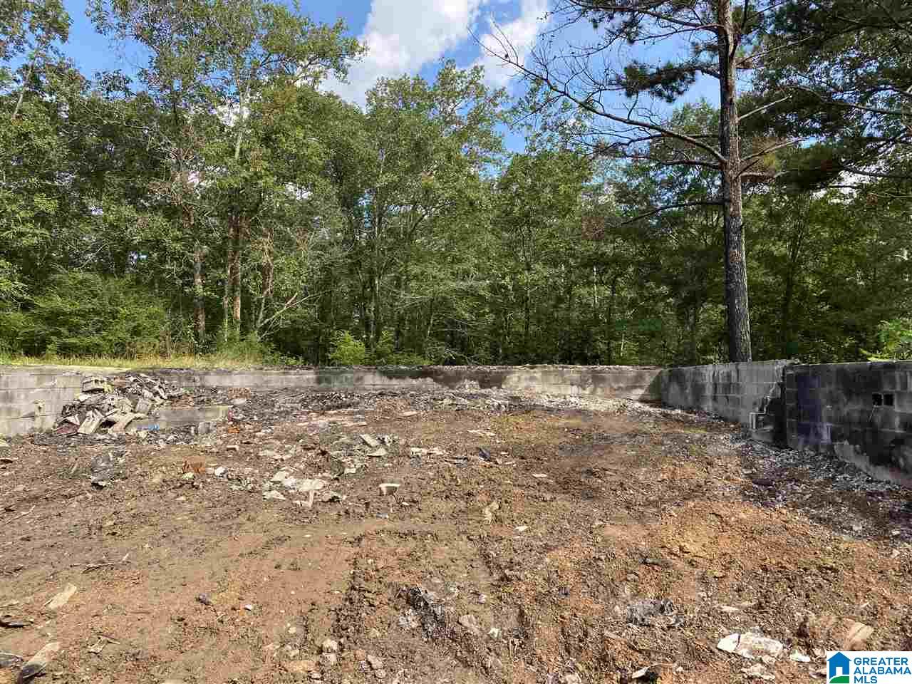 1074 Deaver Walker Road Trafford, AL 35172 - Photo 7 of 11