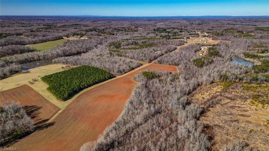 27.5-acres Butler Lake Road Reidsville, NC 27320 - Photo 3 of 6 Gallery Image 3