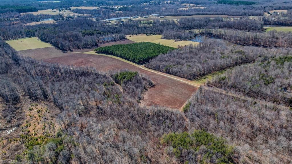 27.5-acres Butler Lake Road Reidsville, NC 27320 - Photo 4 of 6 Gallery Image 4