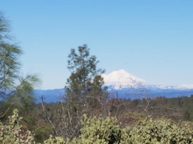 $449,000 | 28216 Whippoorwill Circle, Shingletown, CA 96088