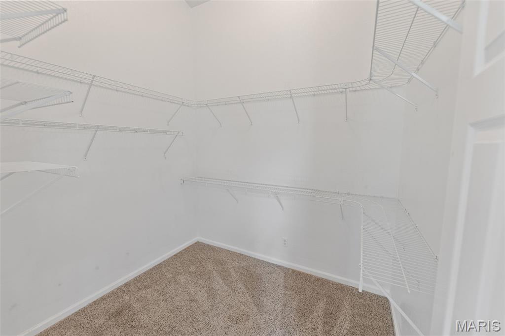 531 Taake Lane Troy, IL 62294 - Photo 37 of 59