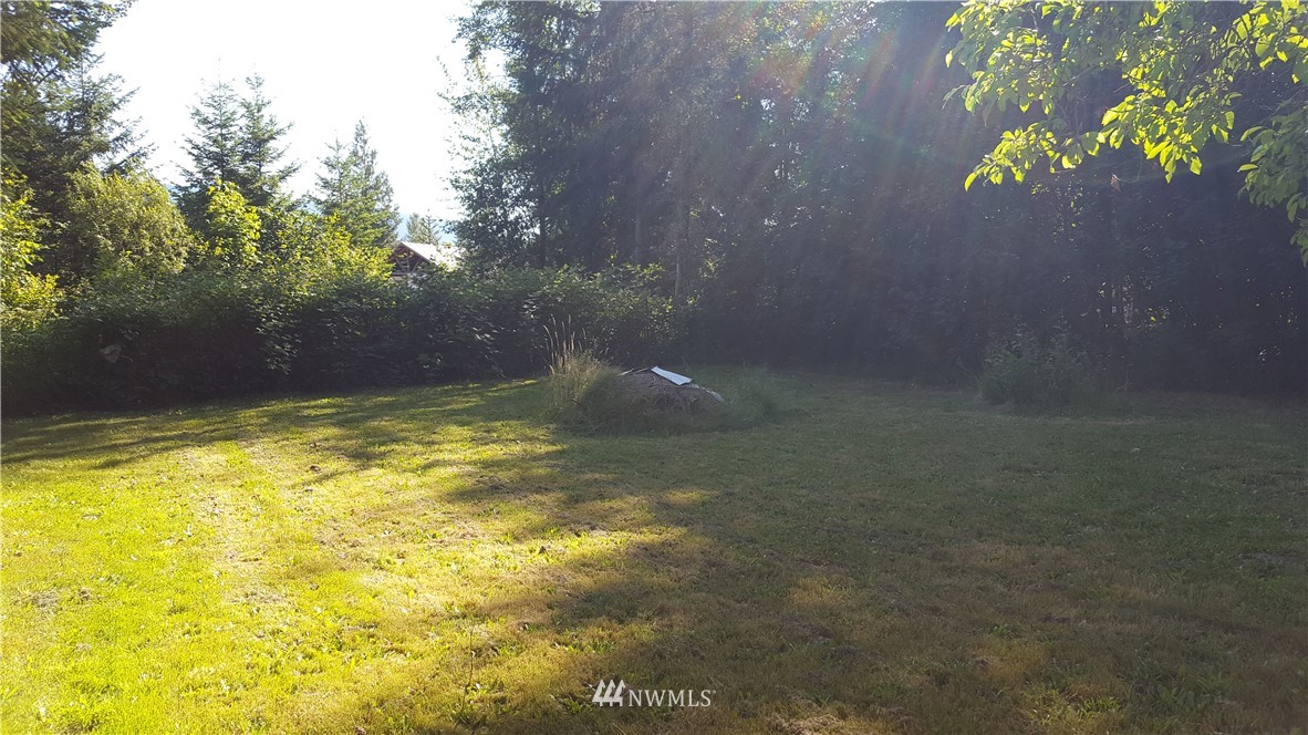 228-05 Kiona Road Randle, WA 98377 - Photo 15 of 15 Gallery Image 15