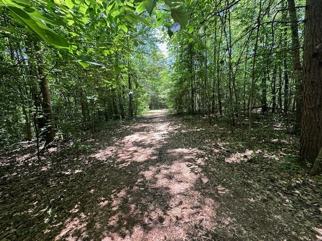 245 Scenic Heights Road West Union, SC 29696 - Photo 15 of 28