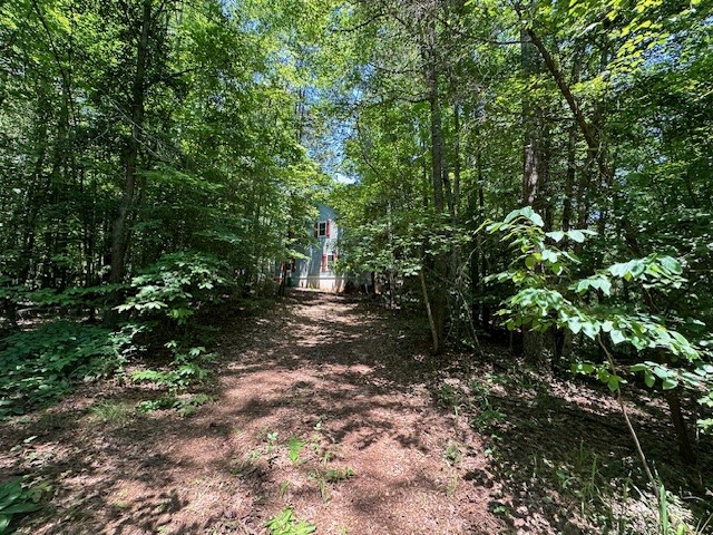 245 Scenic Heights Road West Union, SC 29696 - Photo 22 of 28