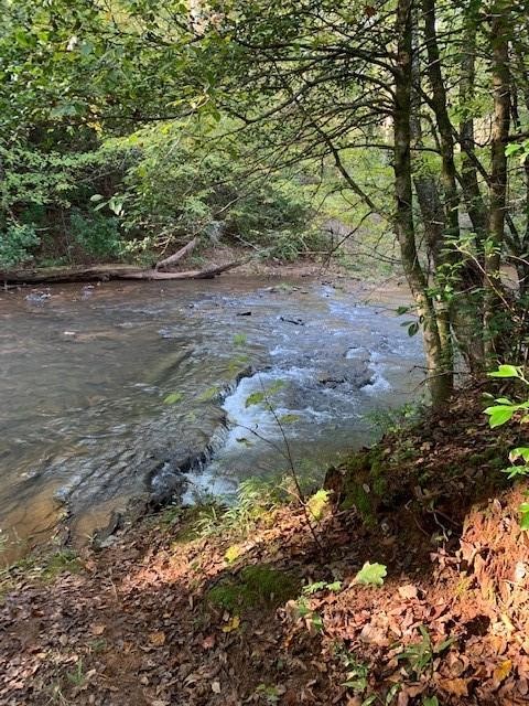 245 Scenic Heights Road West Union, SC 29696 - Photo 24 of 28