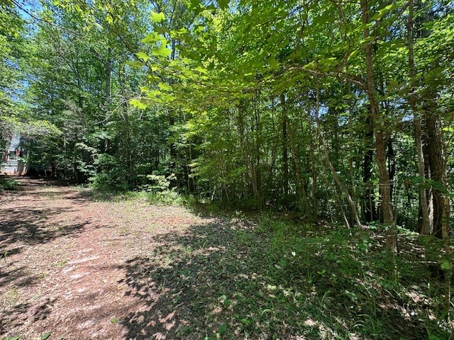 245 Scenic Heights Road West Union, SC 29696 - Photo 5 of 28