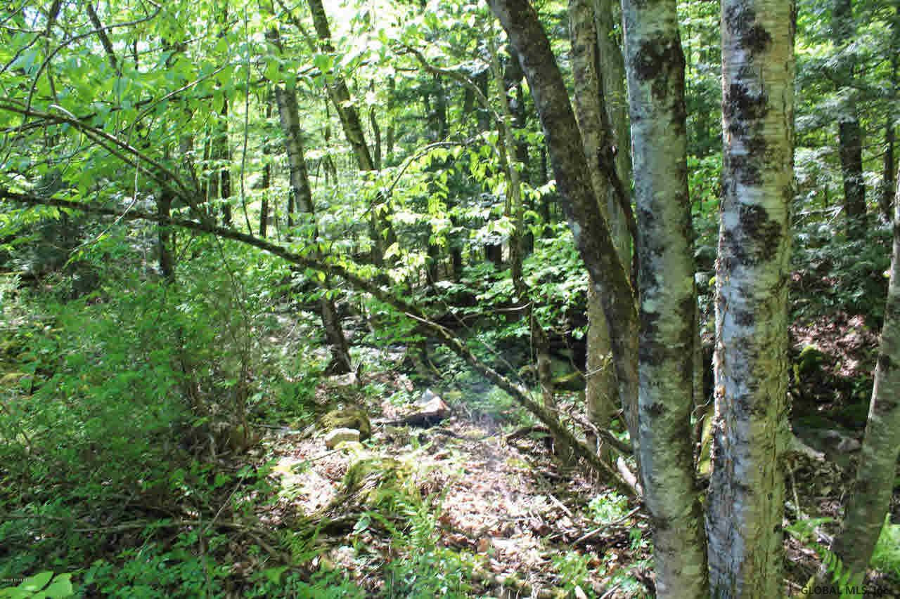 110 N Road Dresden, NY 12819 - Photo 17 of 26 Photo 17