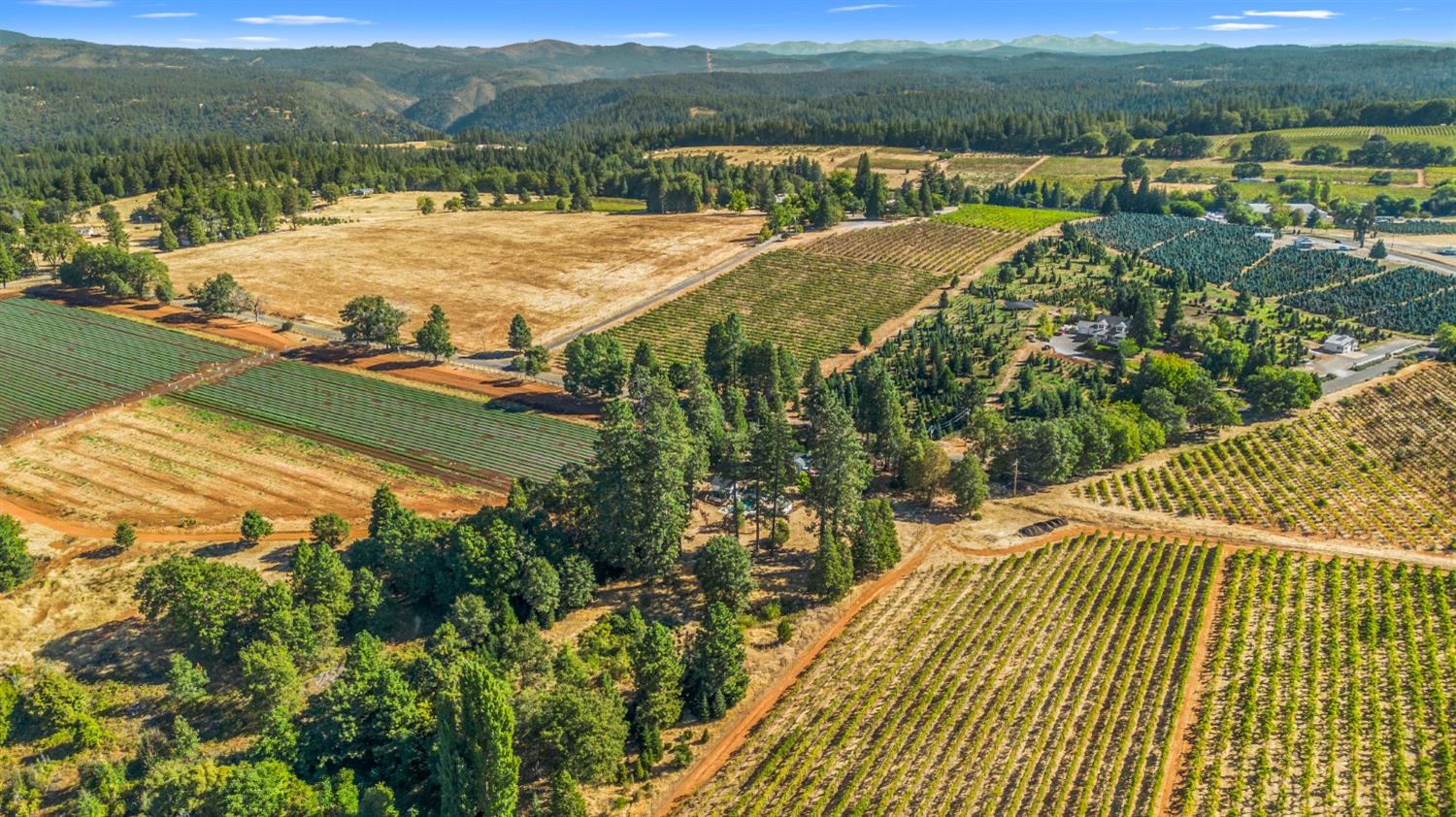 2540 Fruitridge Road Placerville, CA 95667 - Photo 1 of 1 Gallery Image 1