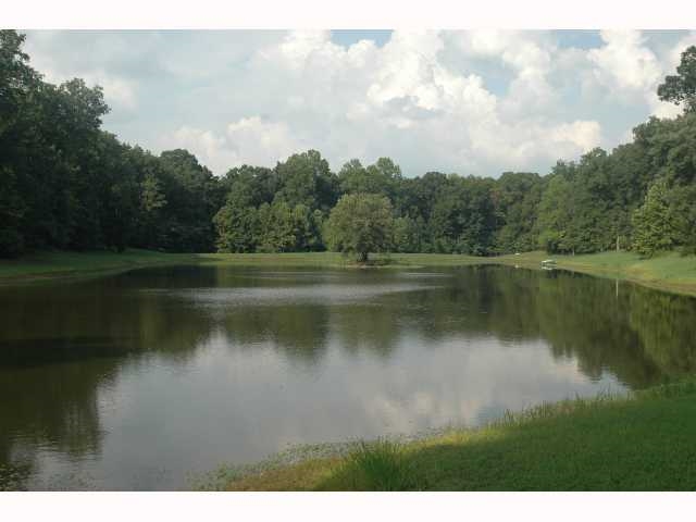 3295 Chambers Chapel Road Lakeland, TN 38002 - Photo 1 of 1 Gallery Image 1