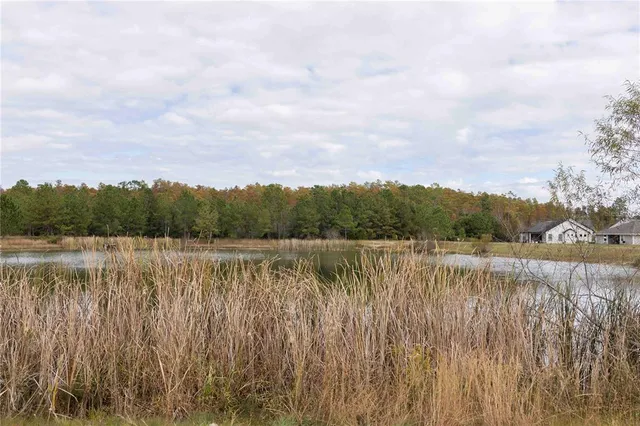 a view of a lake with houses in the back