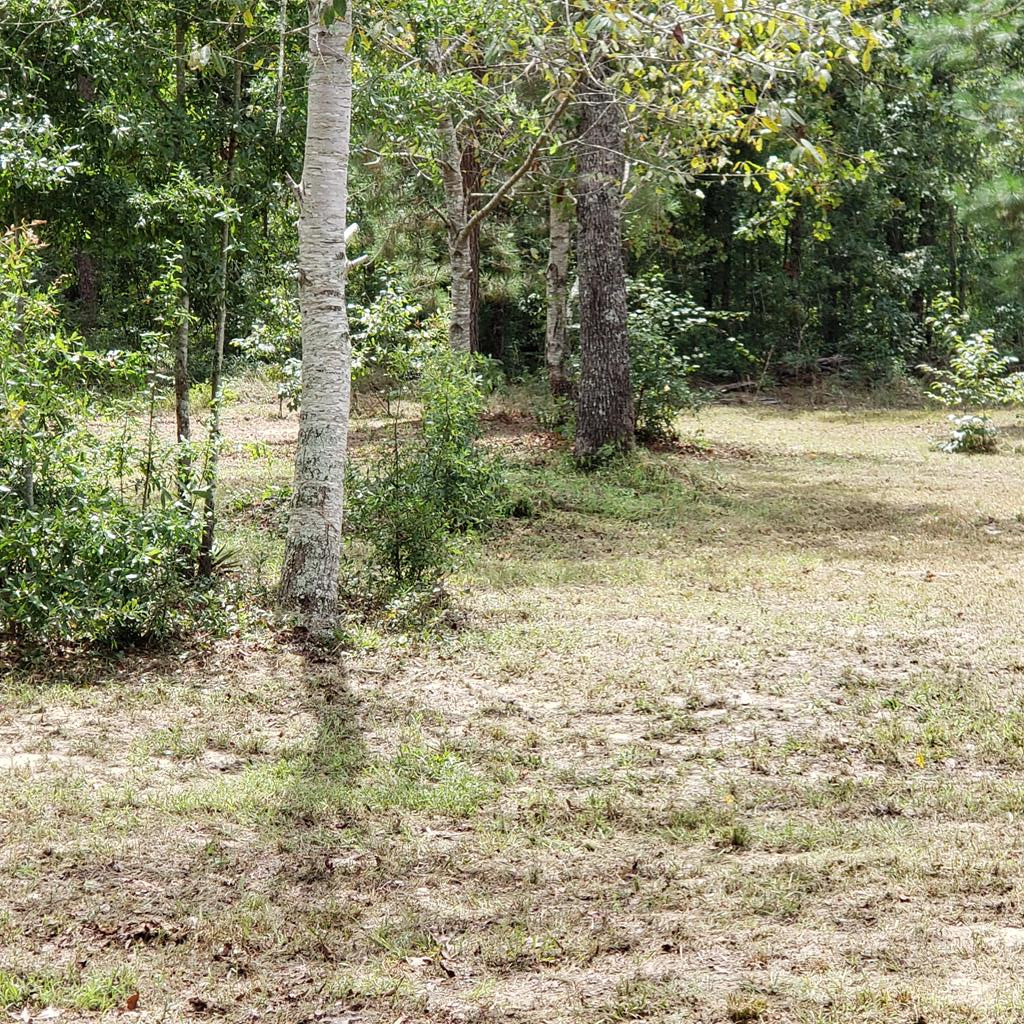 855 Windsor Road Windsor, SC 29856 - Photo 49 of 49