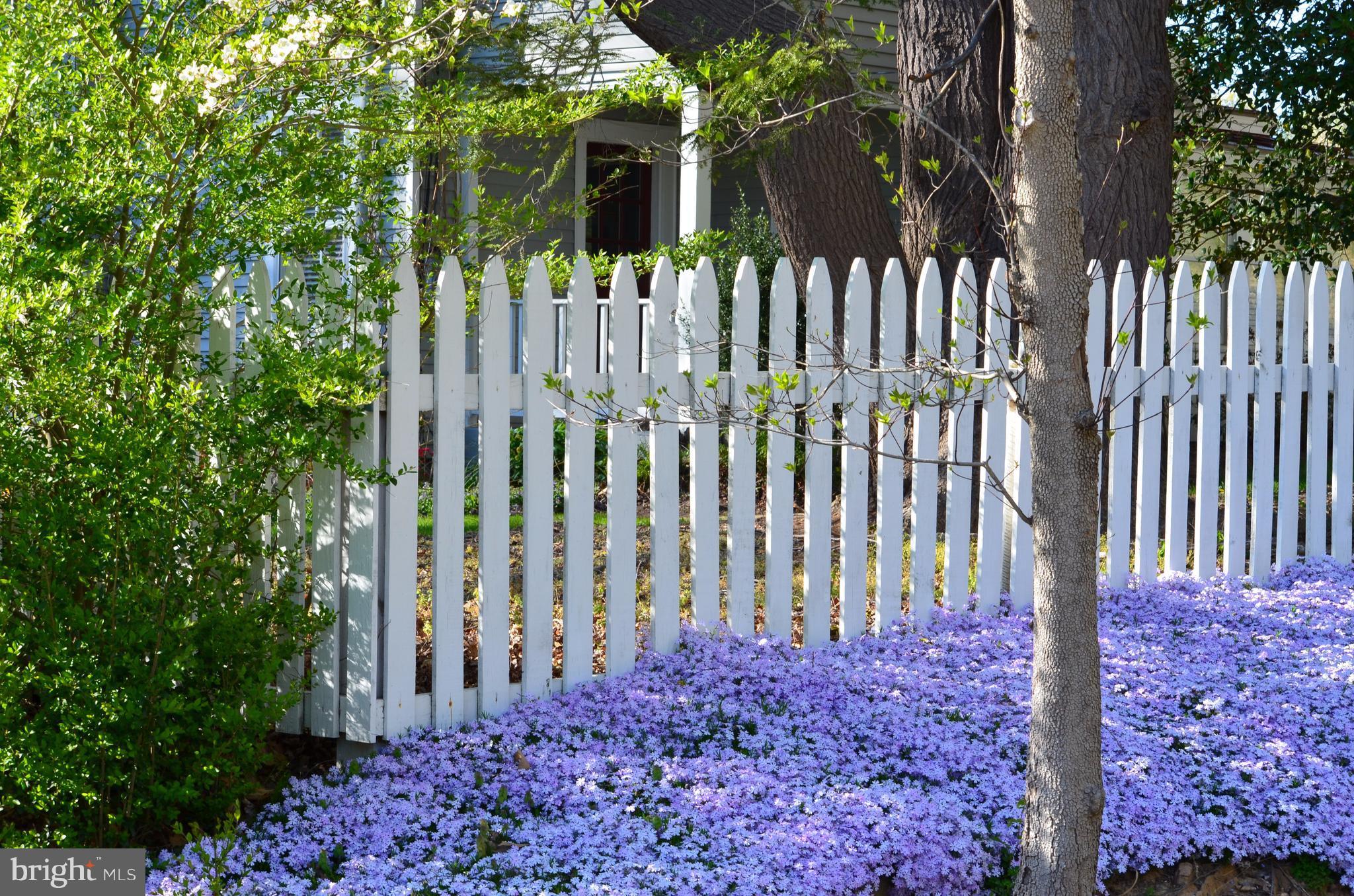 6800 Newman Road Clifton, VA 20124 - Photo 3 of 30 White picket fence!