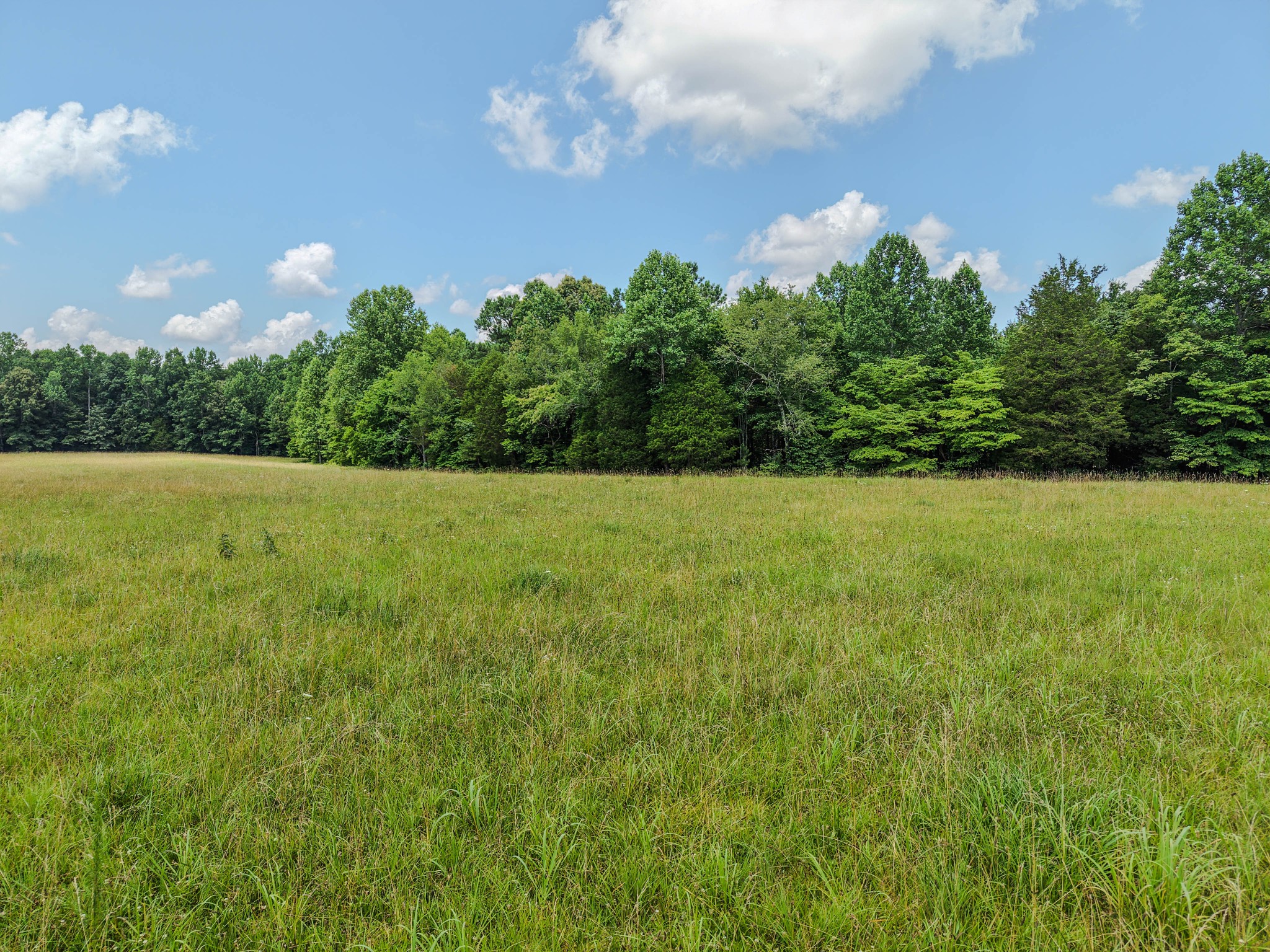 215 Clear Creek Road Leoma, TN 38468 - Photo 6 of 13