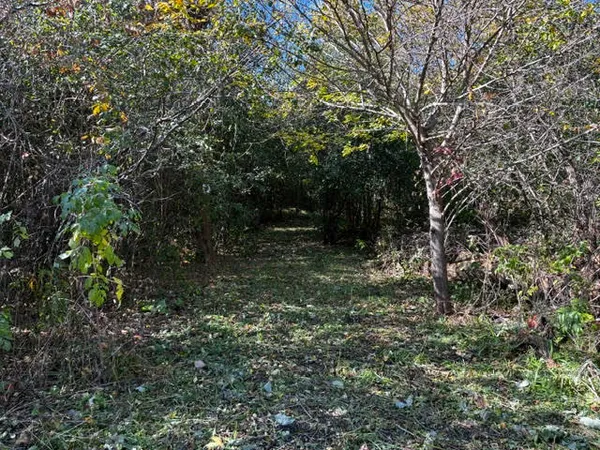 a view of outdoor space and yard