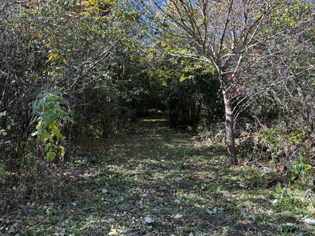 23976 West Beach Grove Road Antioch, IL 60002 - Photo 13 of 13 a view of outdoor space and yard